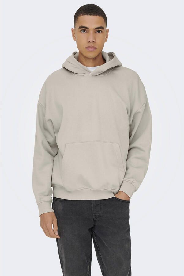 ONLY & SONS Hoodie ONSTURNER LIFE VTG HOODIE SWEAT - Foto 3