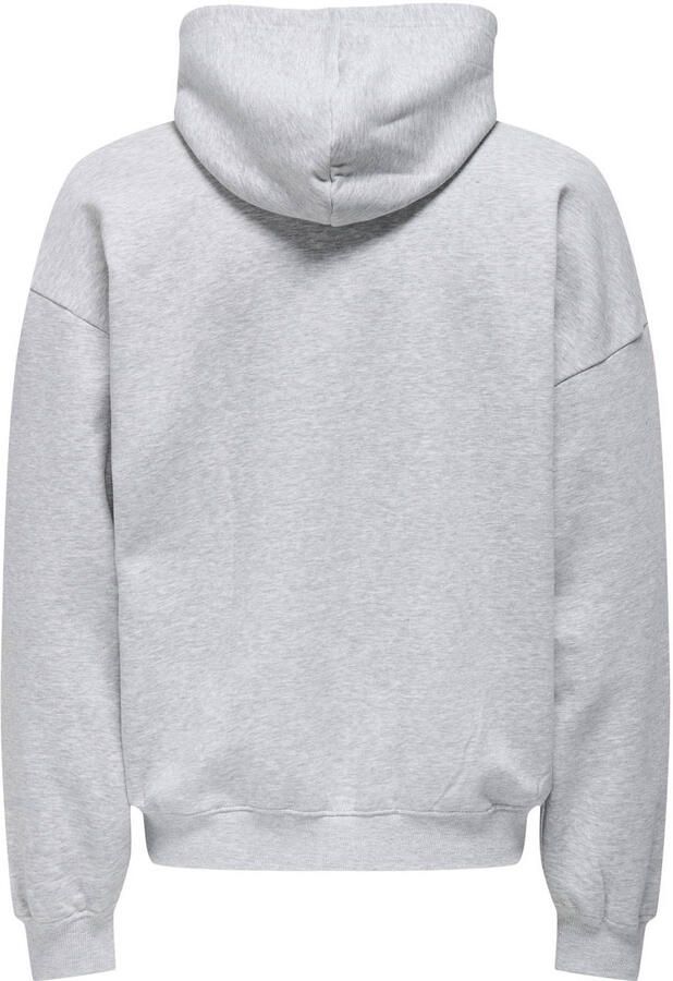 ONLY & SONS Hoodie ONSTURNER LIFE VTG HOODIE SWEAT - Foto 2