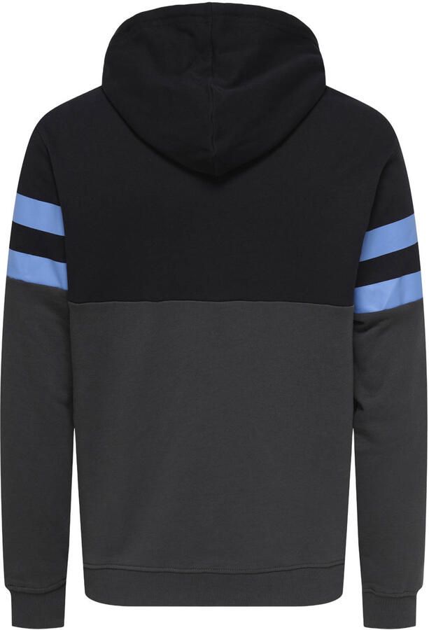 Only & Sons Thor Reg Hoodie Heren