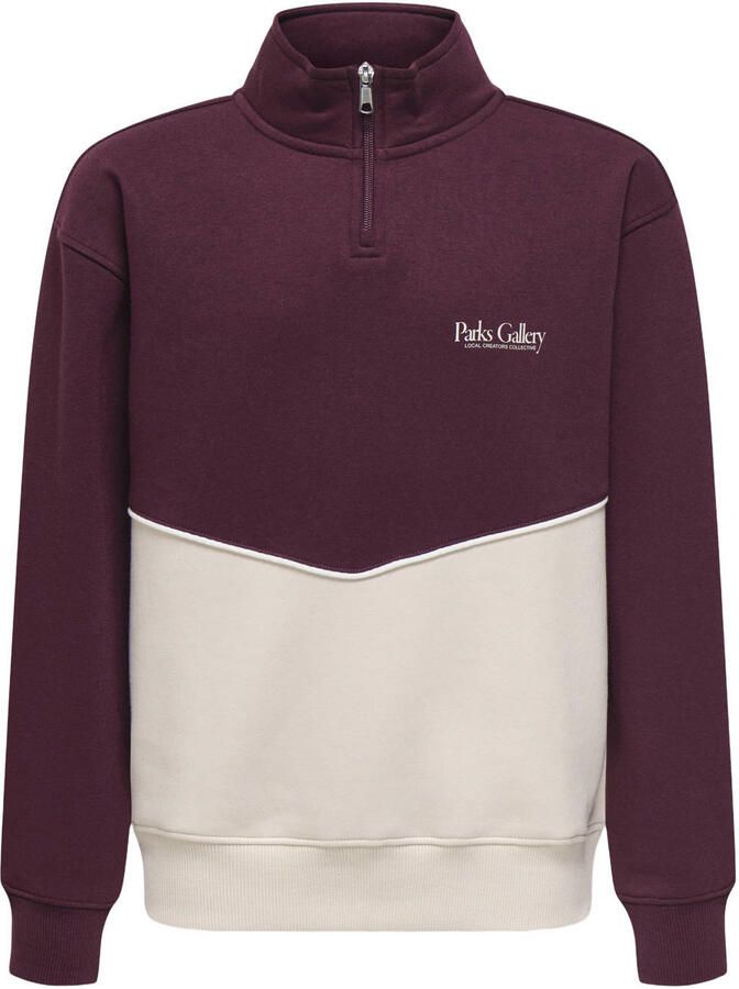 Only & Sons Ceres RLX Half-Zip Parks High Neck Sweater Junior