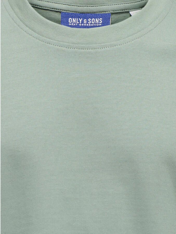 Only & Sons Regular fit T-shirt van puur katoen model 'FRED LIFE'