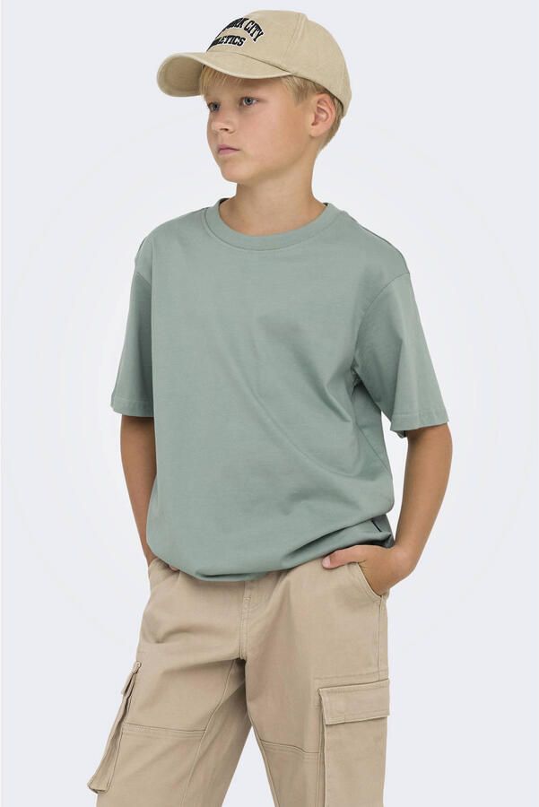 Only & Sons Regular fit T-shirt van puur katoen model 'FRED LIFE'