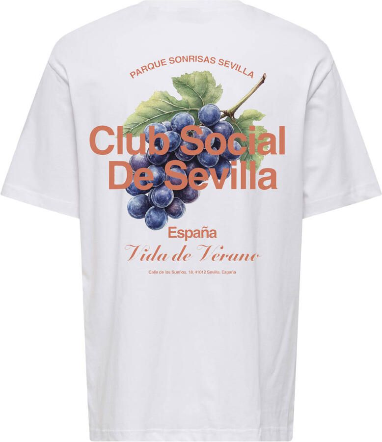 ONLY & SONS JUNIOR T-shirt met backprint wit - Foto 2