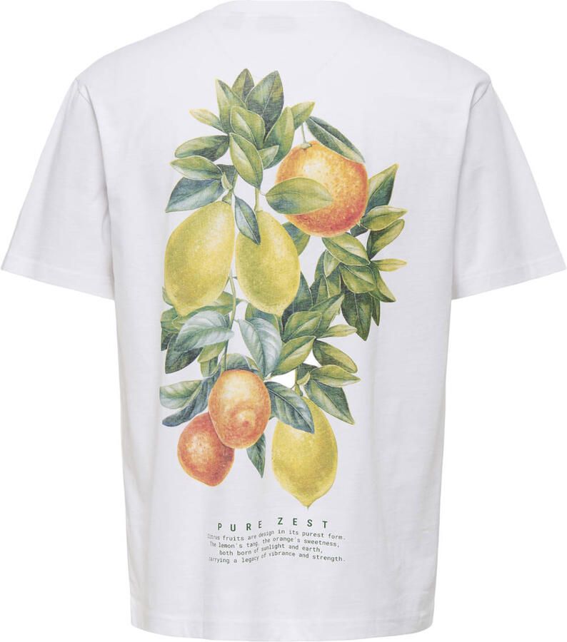 ONLY & SONS JUNIOR T-shirt met backprint wit - Foto 2