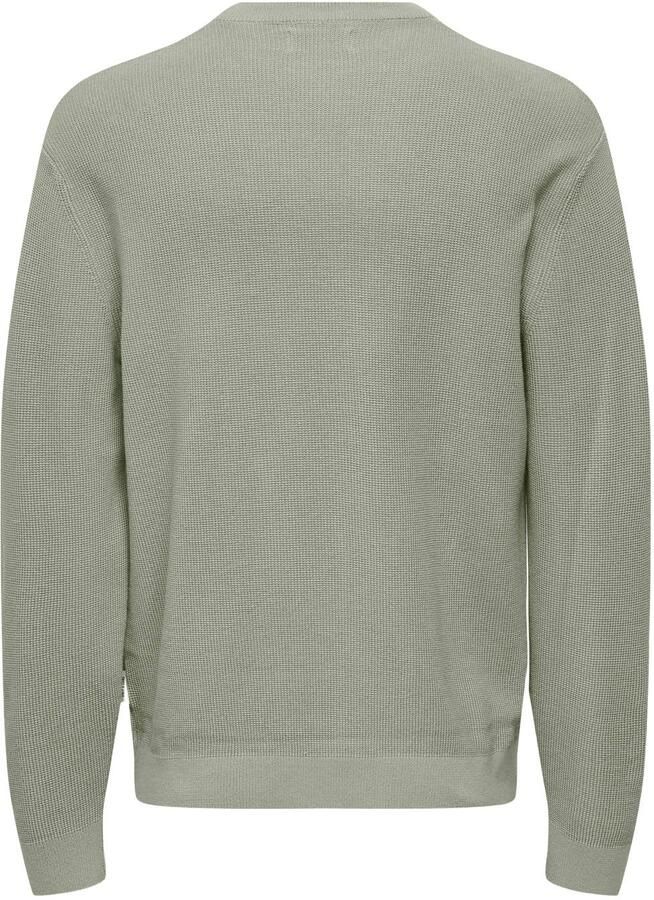 ONLY & SONS Trui met ronde hals ONSTONY DS 12 LS WAFFLE CREW KNIT