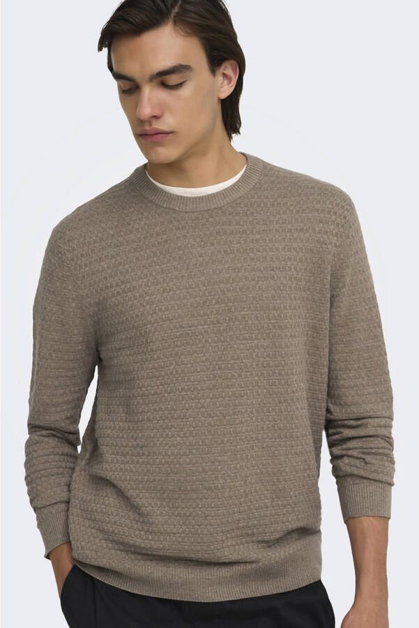 ONLY & SONS regular fit gebreide trui lichtbruin