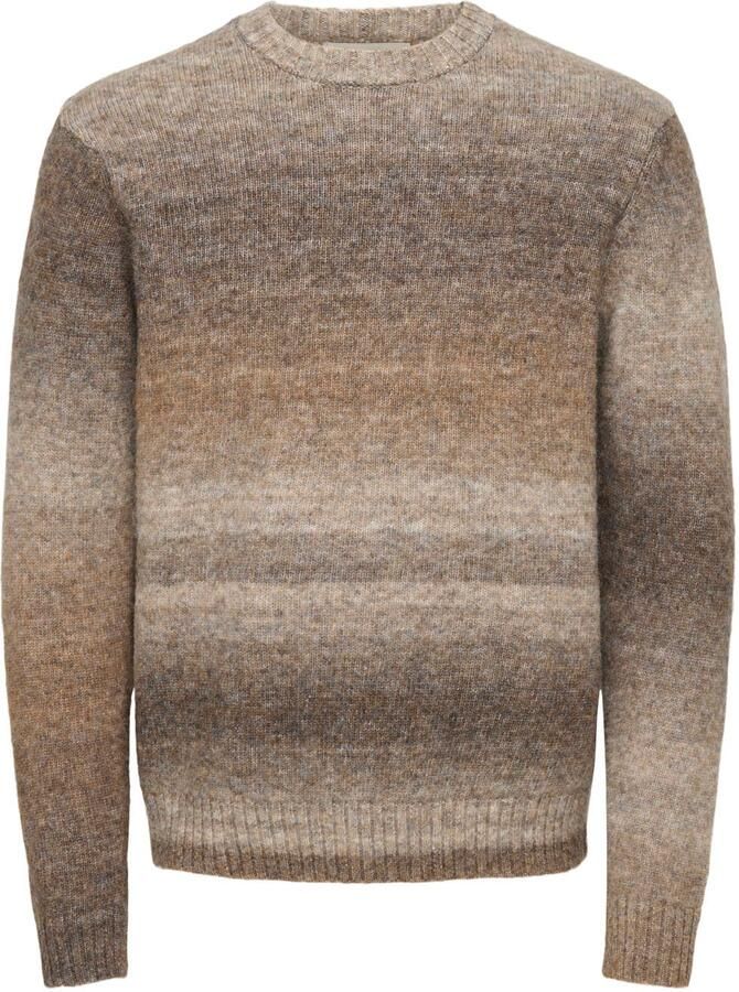 Only & Sons Trui Only & Sons Onsmack Gradiant Reg Crew Knit 22039389