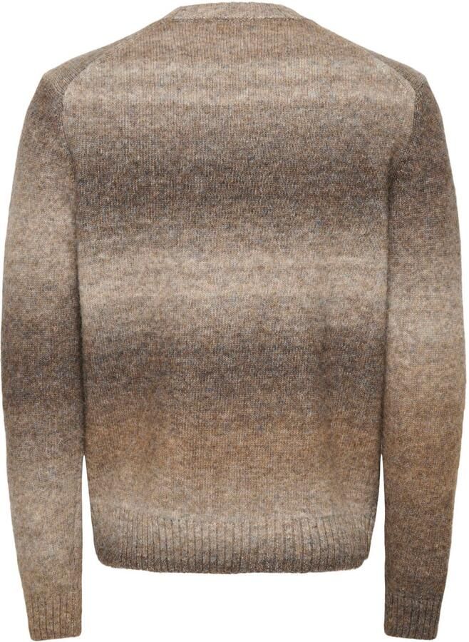 Only & Sons Trui Only & Sons Onsmack Gradiant Reg Crew Knit 22039389 - Foto 2