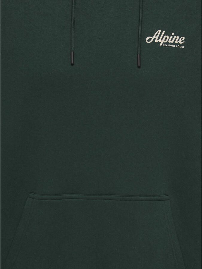 ONLY & SONS regular fit hoodie met backprint pine grove - Foto 2