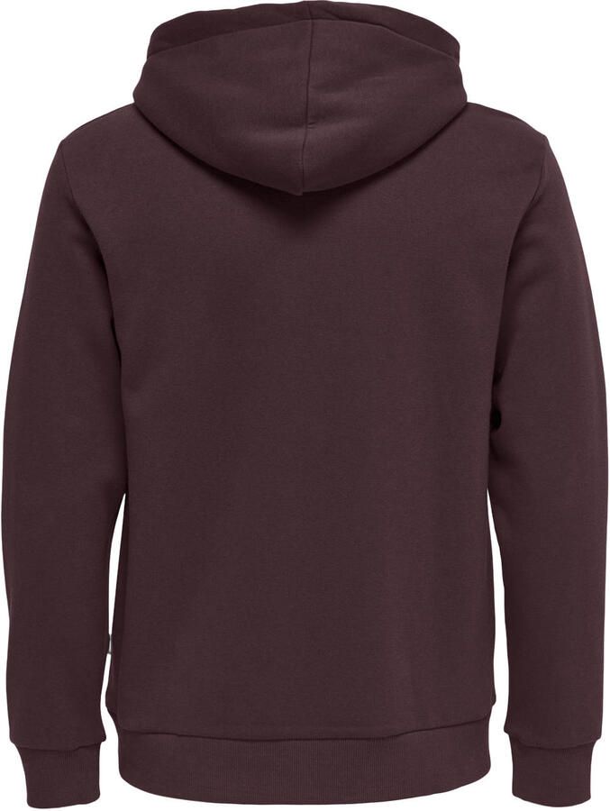 Only & Sons Regular fit hoodie van katoenmix model 'CERES'