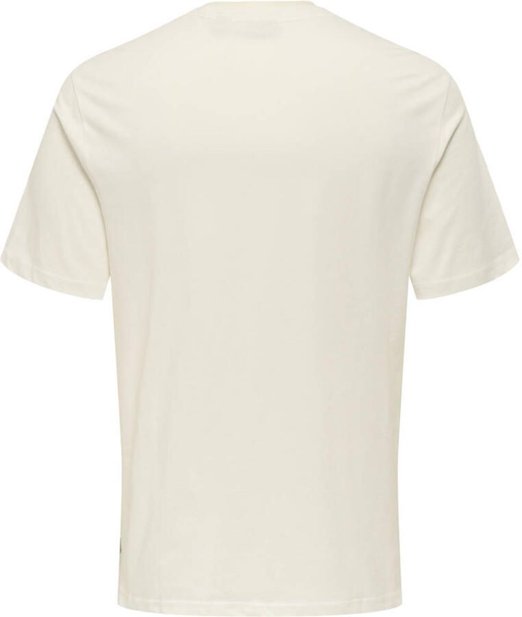 Only & Sons Regular fit T-shirt met motiefprint