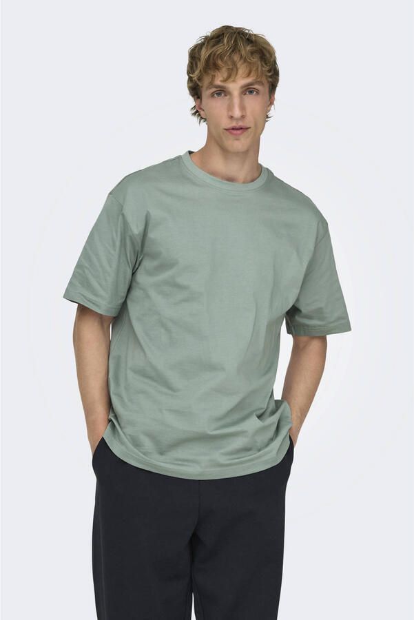 Only & Sons relaxed fit T-shirt van puur katoen model 'FRED LIFE'
