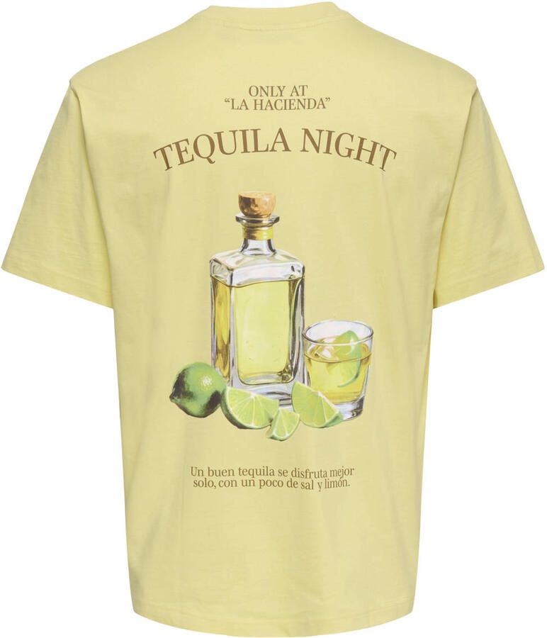 Only & Sons regular fit T-shirt van puur katoen model 'FRED'