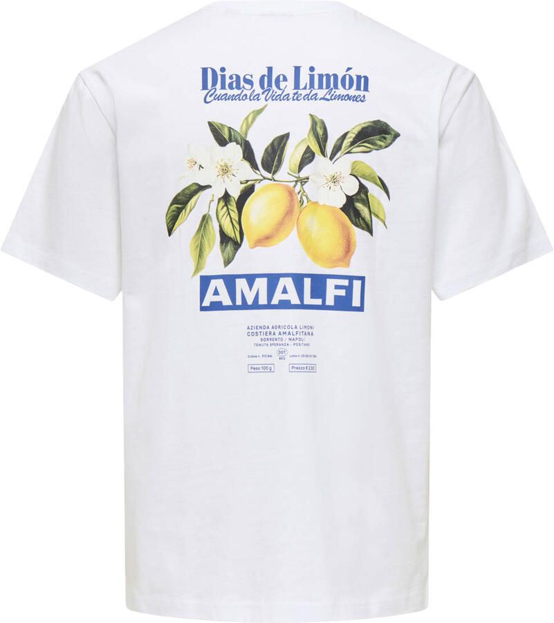 ONLY & SONS relaxed T-shirt met backprint wit - Foto 2