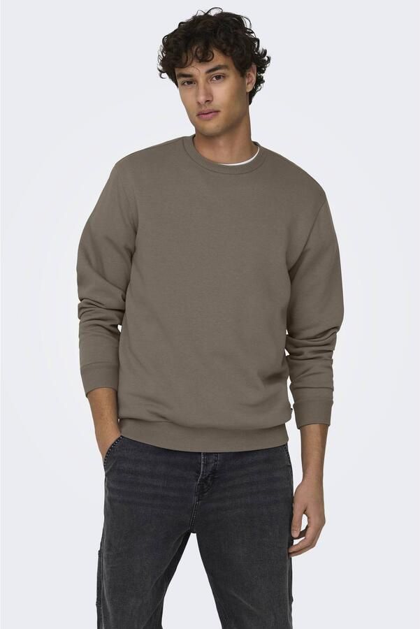 ONLY & SONS sweater ONSCERES bruin