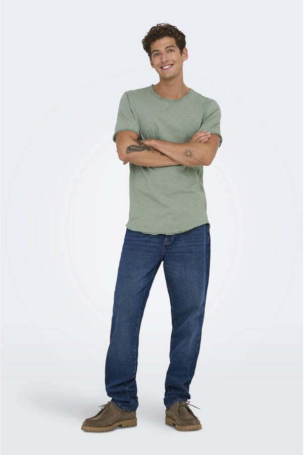 ONLY & SONS Shirt met ronde hals ONSBENNE LONGY SS TEE NF 7822 NOOS