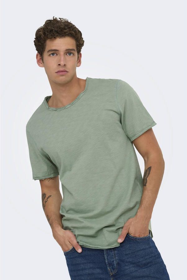 ONLY & SONS Shirt met ronde hals ONSBENNE LONGY SS TEE NF 7822 NOOS - Foto 2