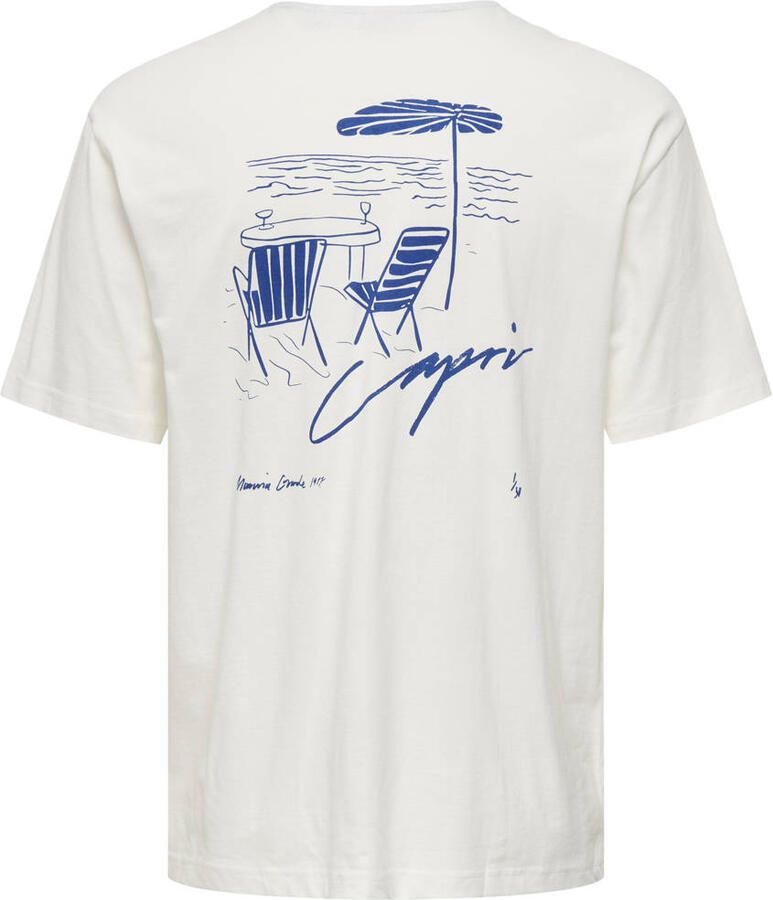ONLY & SONS T-shirt wit