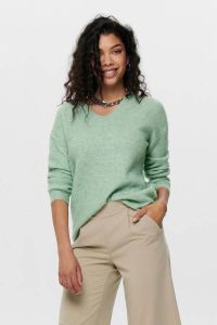 Only Trui ONLCAMILLA V-NECK L S PULLOVER KNT NOOS