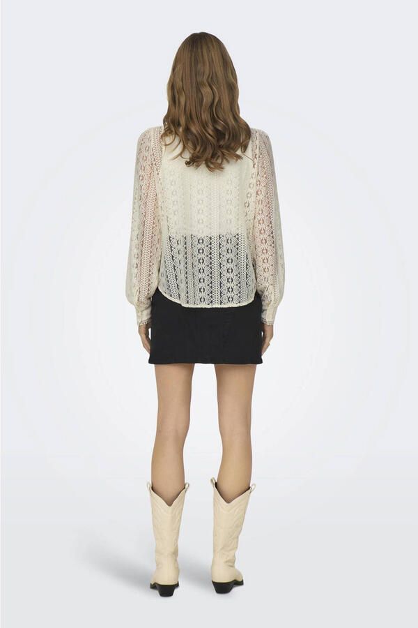 Only Regular fit blouse van transparant kant model 'REBA'