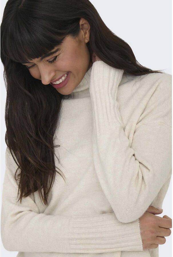 Only Trui met staande kraag ONLGABRIEL LIFE L S HIGHNECK CC KNT