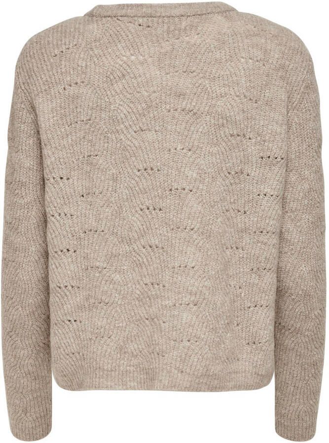 Only Trui met ronde hals ONLLOLLI L S PULLOVER KNT NOOS