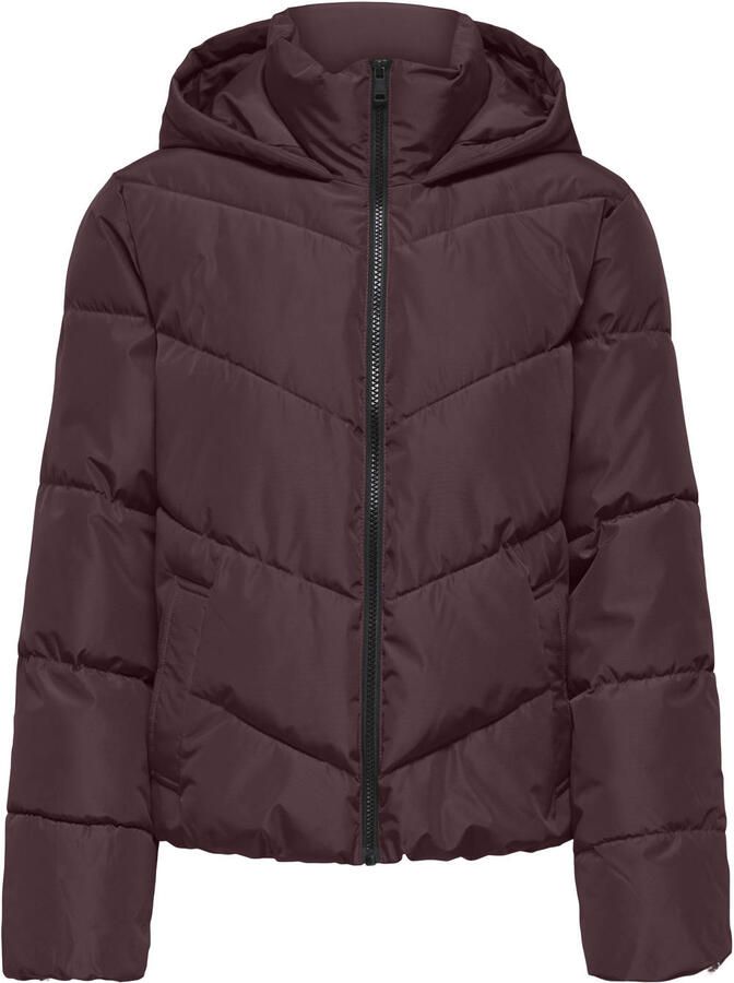 Only regular fit gewatteerd jack met capuchon model 'CLAIR'