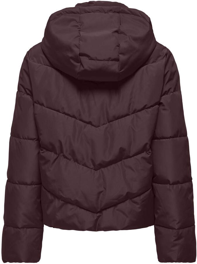 Only regular fit gewatteerd jack met capuchon model 'CLAIR'