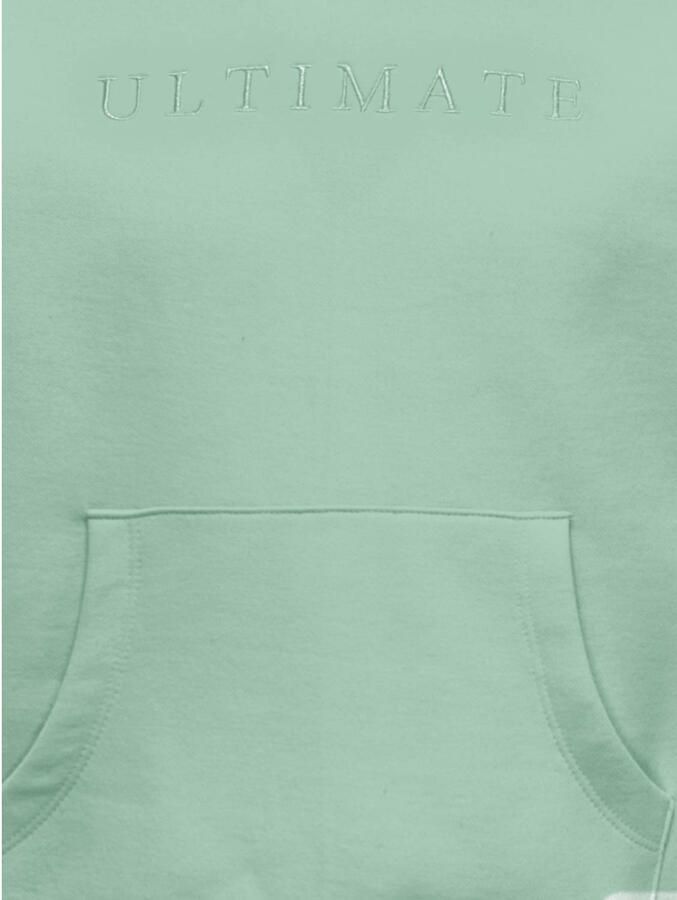 KIDS ONLY Hoodie KOGBILLIE L S HOODIE SWT - Foto 2