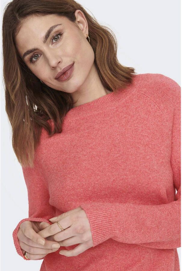 Only Trui met ronde hals ONLRICA LIFE L S PULLOVER KNT NOOS