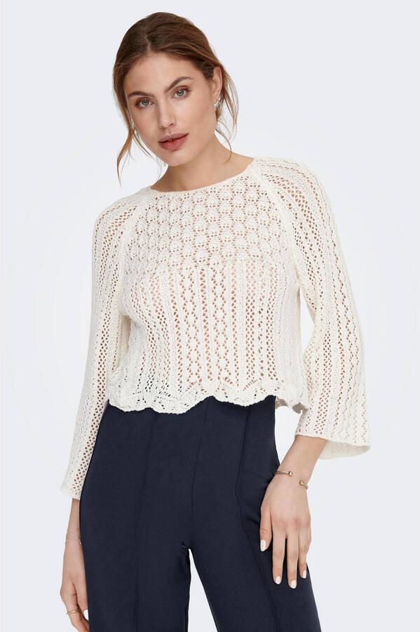 Only Korte gebreide pullover met all-over broderie anglaise model 'NOLA'