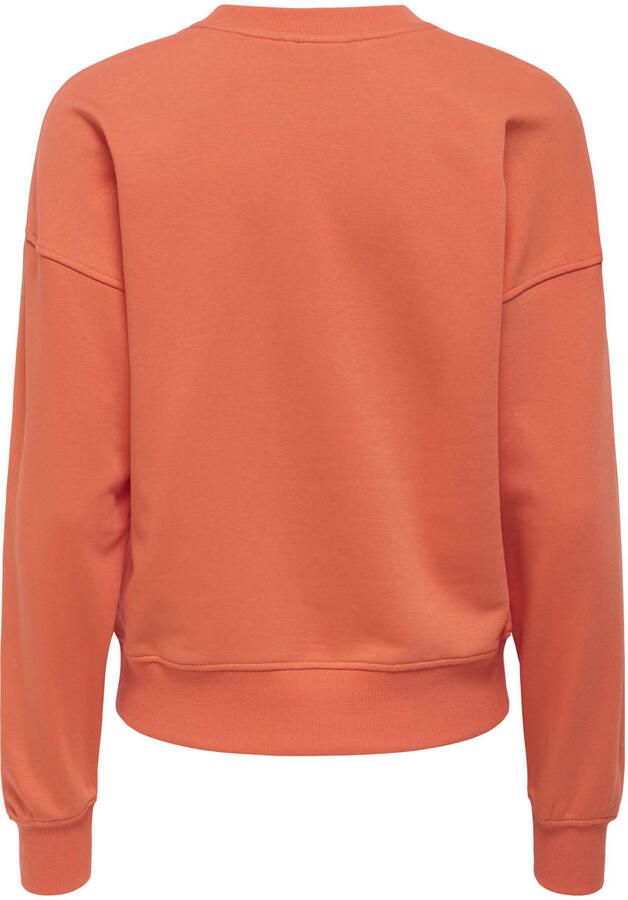 Only Sweatshirt ONLPHILEA L S FRUIT O-NECK UB SWT - Foto 3