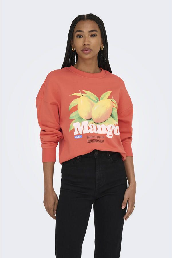 Only Sweatshirt ONLPHILEA L S FRUIT O-NECK UB SWT - Foto 2