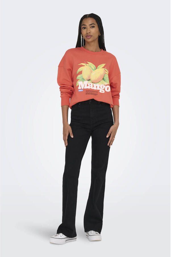 Only Sweatshirt ONLPHILEA L S FRUIT O-NECK UB SWT
