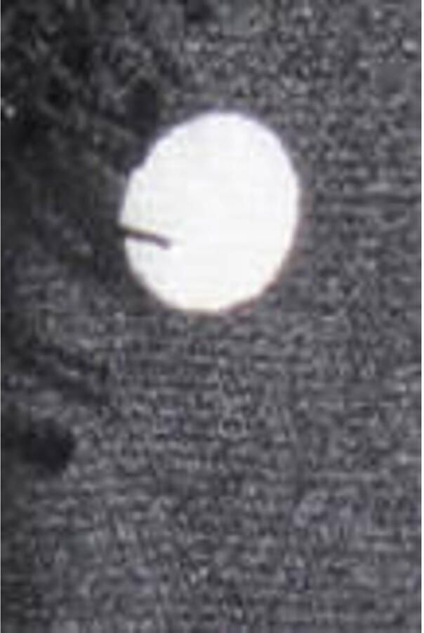Only Regular fit blousetop met kant model 'INDONA' - Foto 2