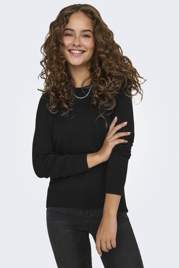Only Gebreide trui ONLVENICE LIFE LS ONECK PULLOVER KNT NCA