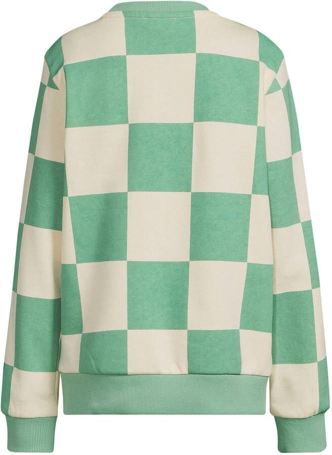 Orange Stars geruite sweater mintgroen - Foto 1