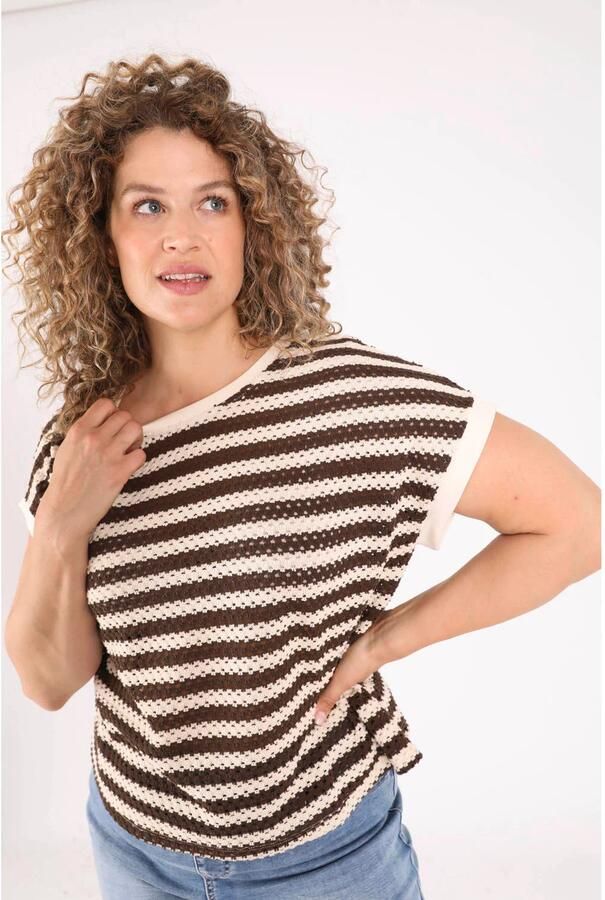 Paprika gebreide gestreepte trui Plus Size bruin