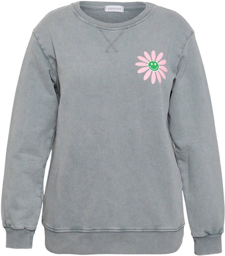 Paprika sweater met backprint grijs - Foto 2