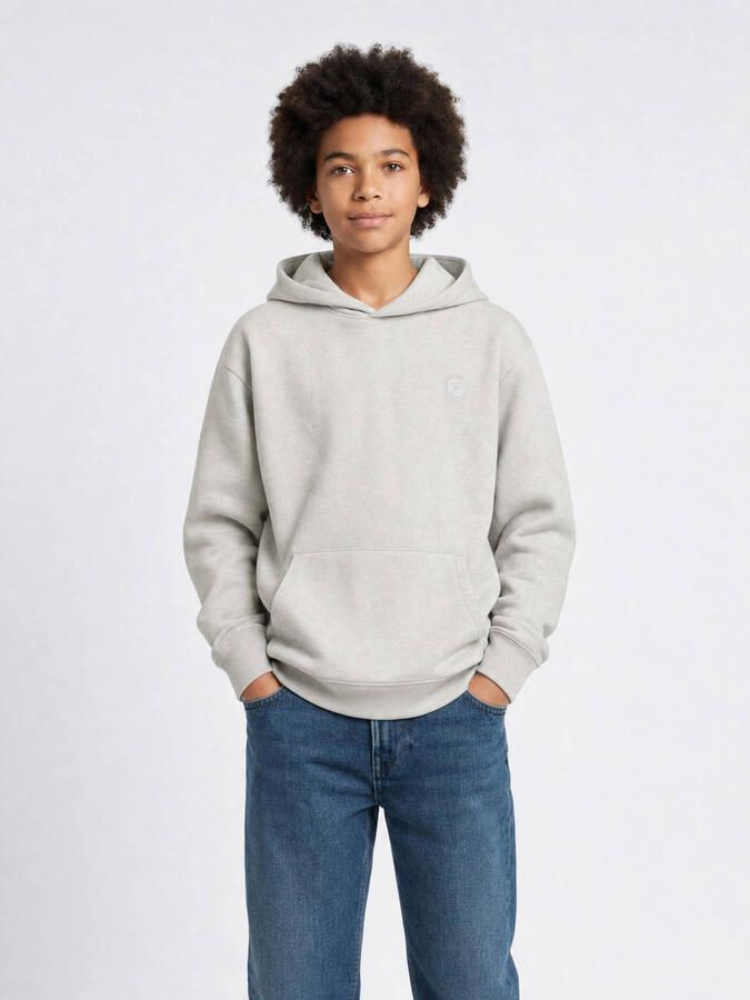 Petrol Industries hoodie met backprint lichtgrijs Sweater Backprint