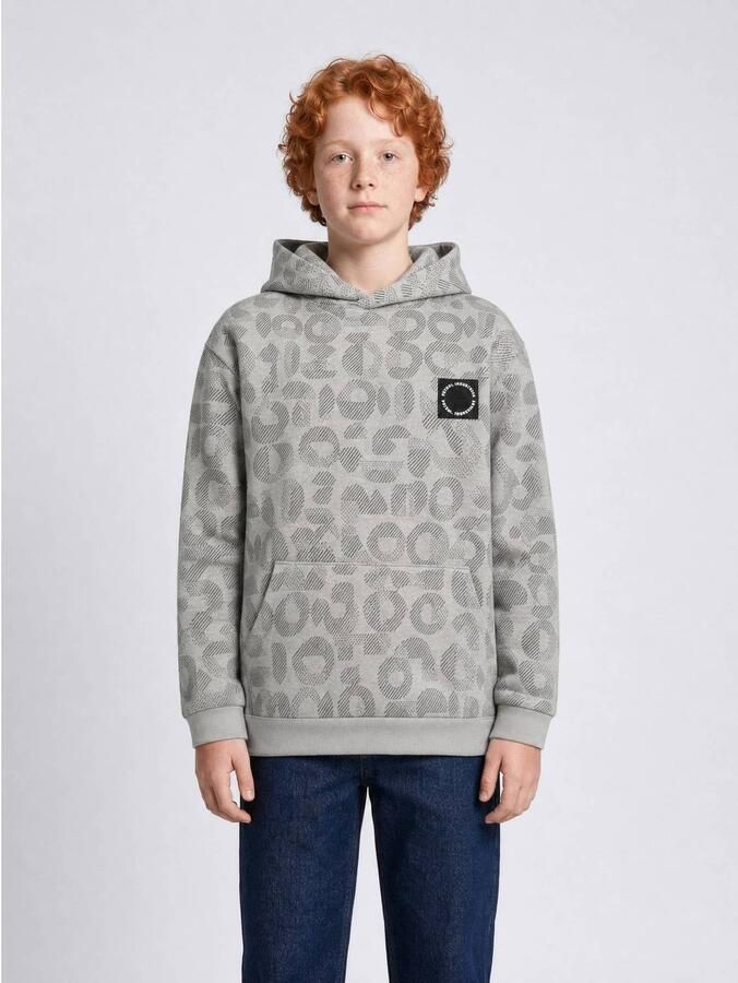 Petrol Industries hoodie met logo grijs Sweater All over print