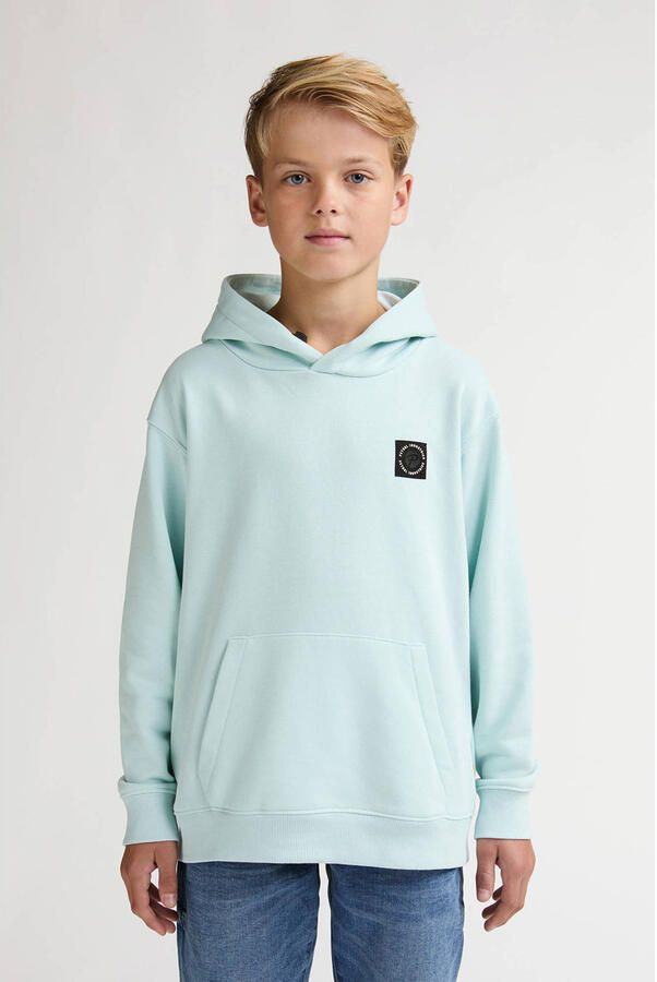 Petrol Industries hoodie mintgroen