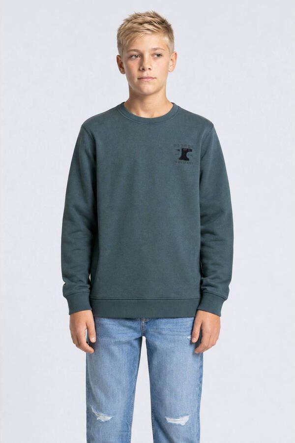 Petrol Industries rechtvallende sweater met print grijsblauw Printopdruk