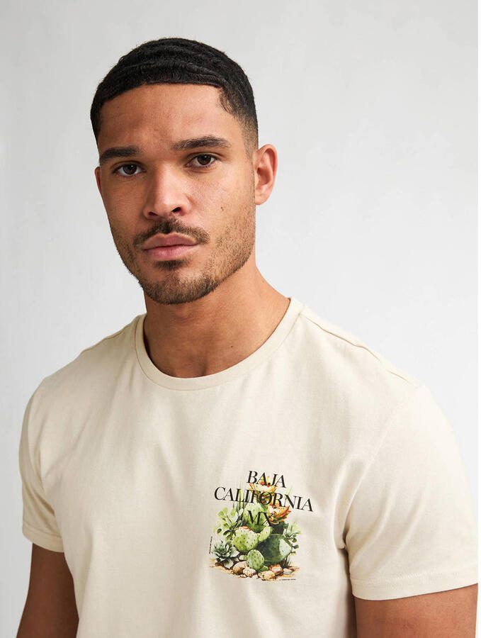 Petrol Industries regular T-shirt met backprint beige - Foto 2