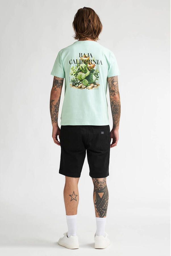 Petrol Industries regular T-shirt met backprint mintgroen - Foto 3