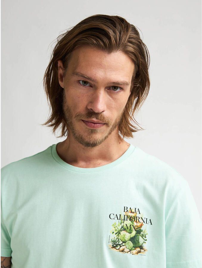 Petrol Industries regular T-shirt met backprint mintgroen - Foto 2