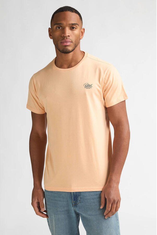 Petrol Industries regular T-shirt zalm