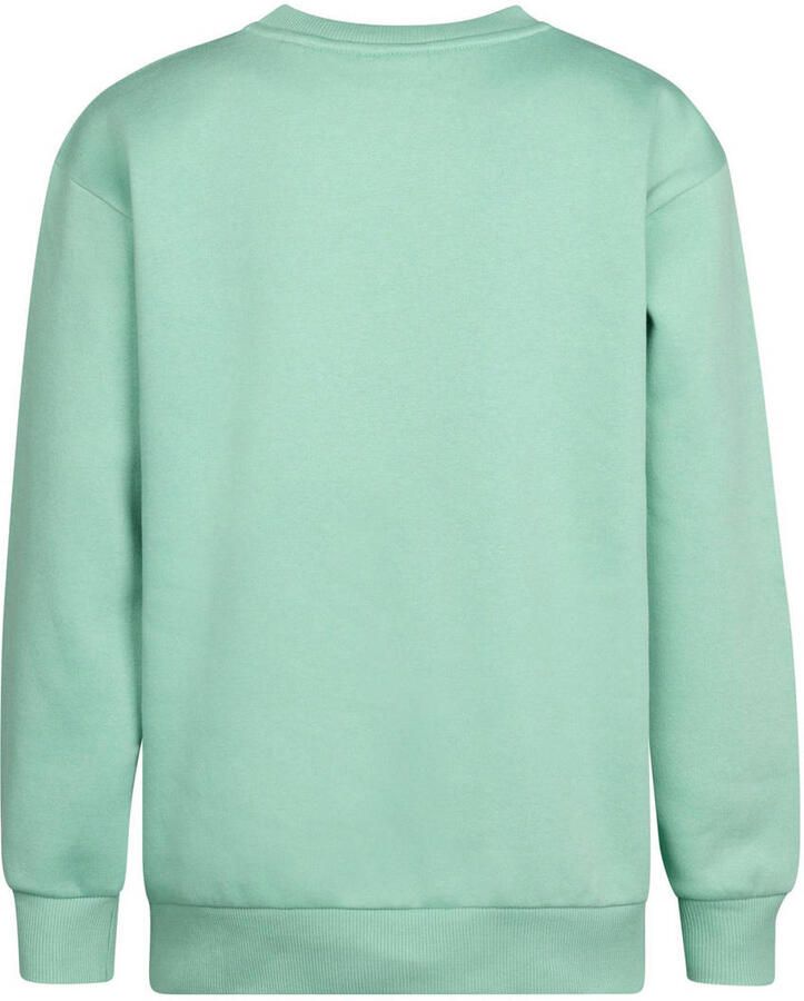 Petrol Industries sweater mintgroen - Foto 2