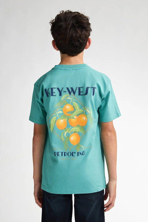 Petrol Industries T-shirt met backprint groen - Foto 3