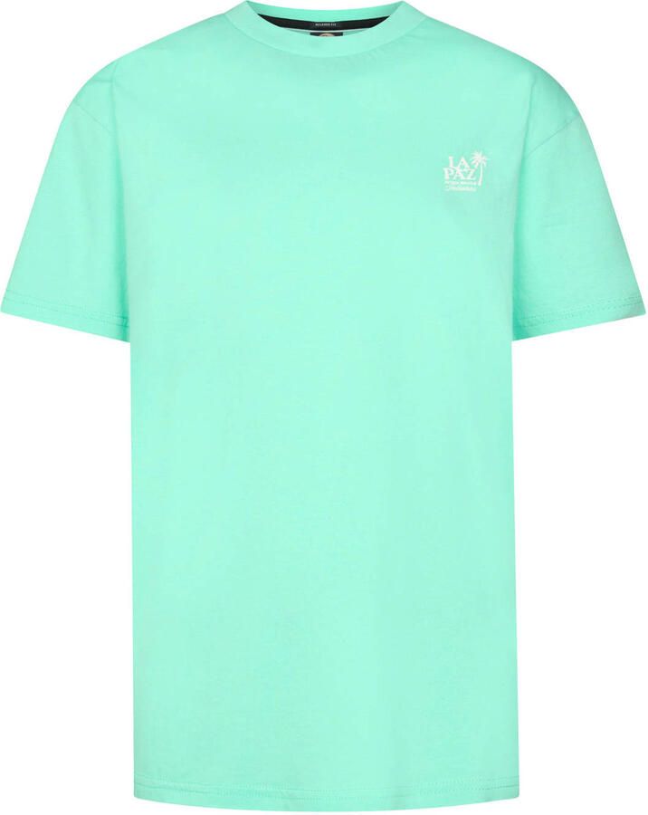 Petrol Industries T-shirt groen